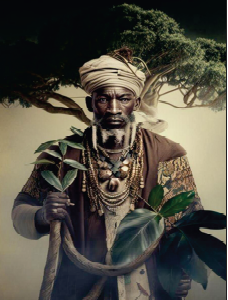 Canga Iroko